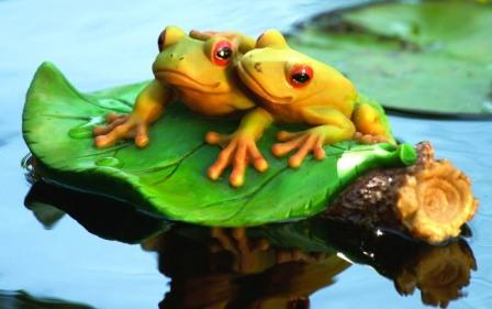 buy Aquascape Water Garden & Pond Floating Decorations - Frog Pair on Lily Pad